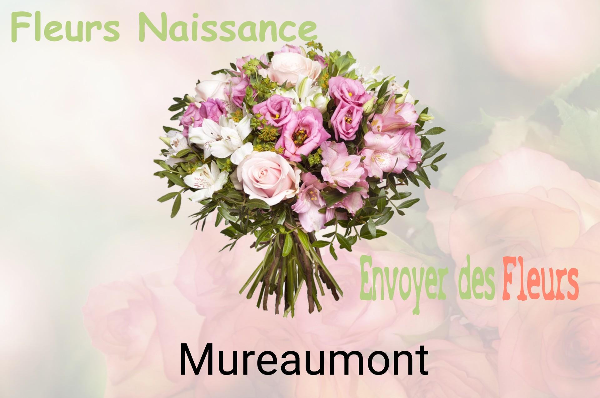 Bouquet de fleurs de naissance livré à Mureaumont
